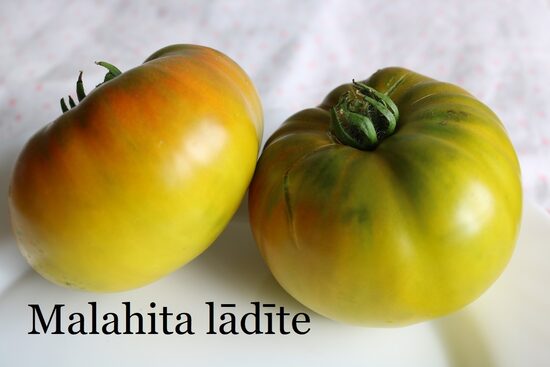 Malahita lādīte (tomātu sēklas)